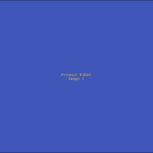 Example Product 3601