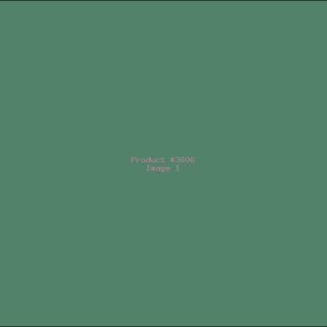 Example Product 3606