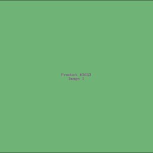 Example Product 3653