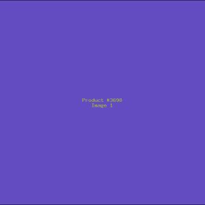 Example Product 3698