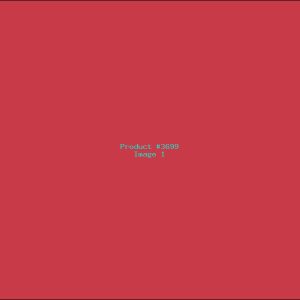 Example Product 3699