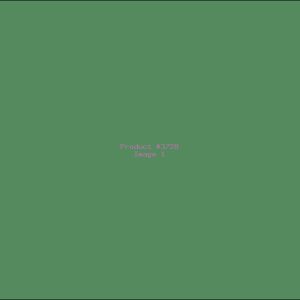 Example Product 3728