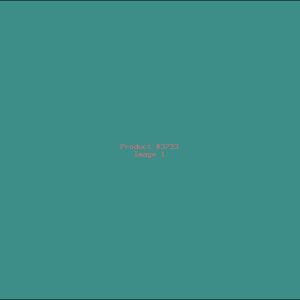 Example Product 3733