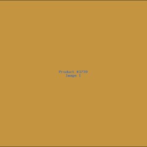 Example Product 3739