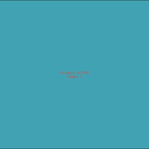 Example Product 3759