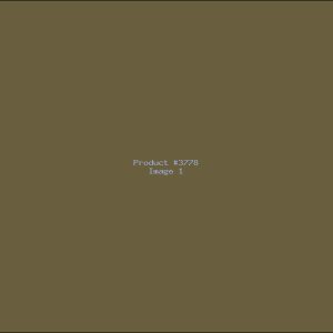 Example Product 3778