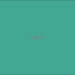 Example Product 3793