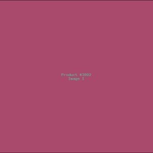 Example Product 3802