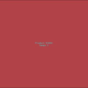 Example Product 3842