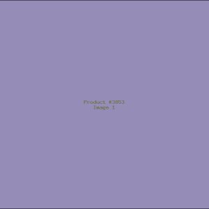 Example Product 3853