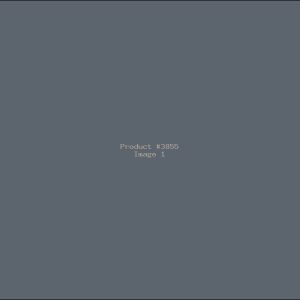 Example Product 3855