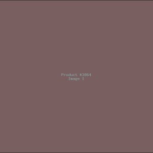 Example Product 3864