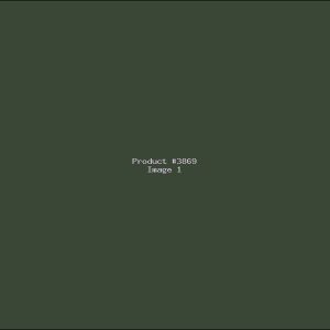 Example Product 3869