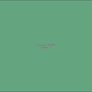 Example Product 3880