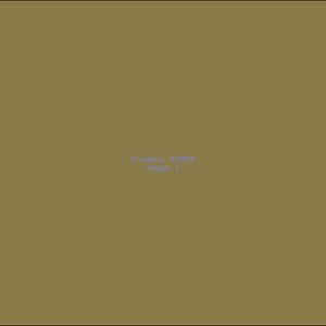 Example Product 3884