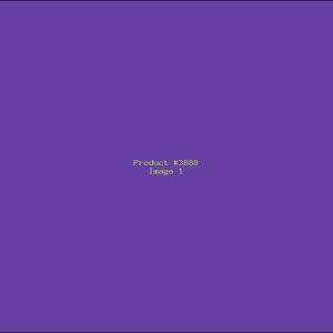 Example Product 3888