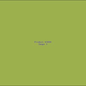 Example Product 3889