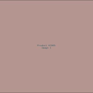 Example Product 3905