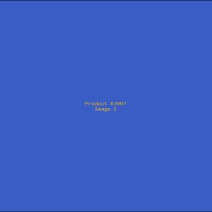 Example Product 3907