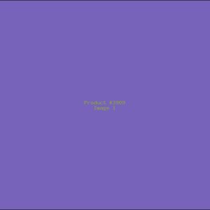 Example Product 3909