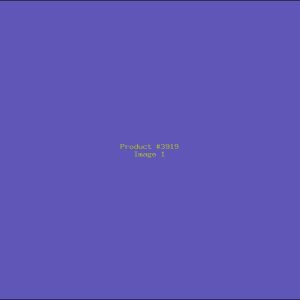 Example Product 3919