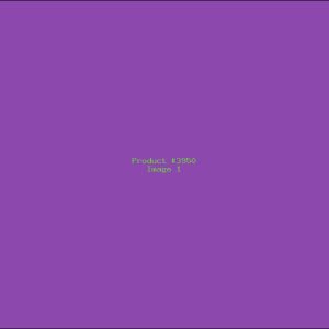 Example Product 3950