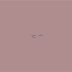 Example Product 3969