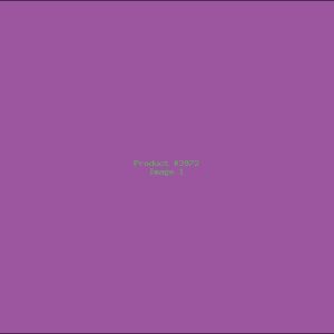 Example Product 3972