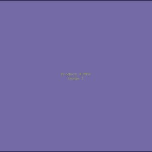 Example Product 3982