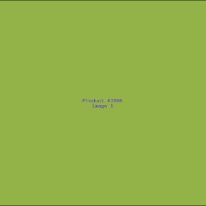 Example Product 3986