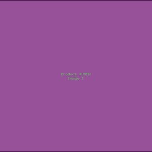 Example Product 3990