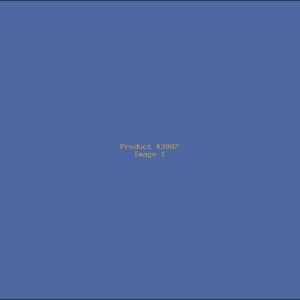 Example Product 3997