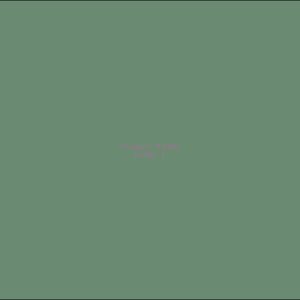 Example Product 3998