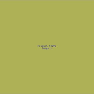 Example Product 4006