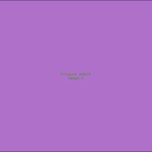 Example Product 4519