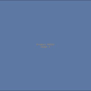 Example Product 4522