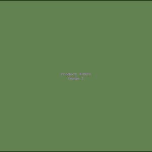 Example Product 4528