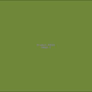 Example Product 4529