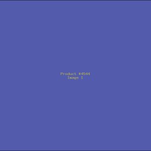 Example Product 4544