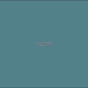 Example Product 4558