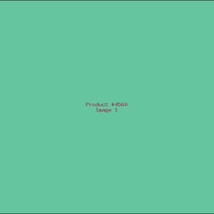 Example Product 4560