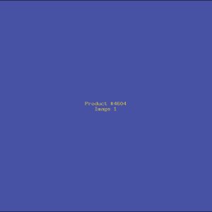 Example Product 4604