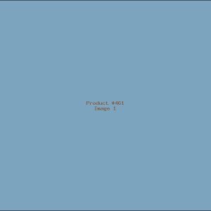 Example Product 461