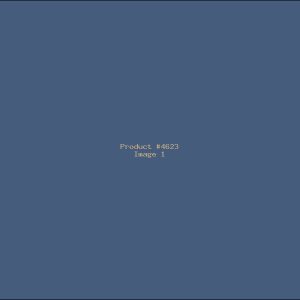 Example Product 4623