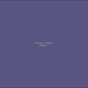 Example Product 4625