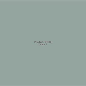 Example Product 4628