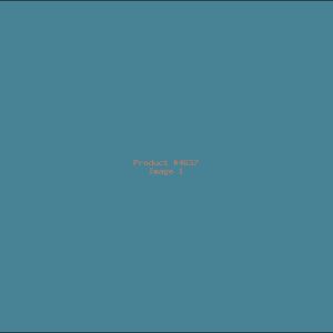 Example Product 4637