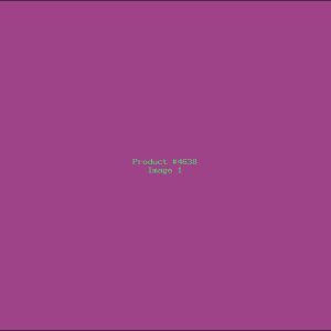 Example Product 4638