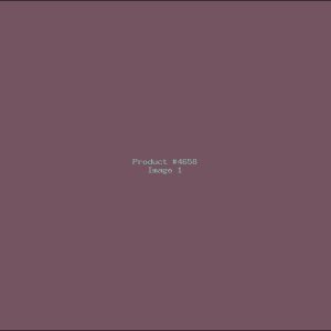 Example Product 4658