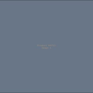 Example Product 4713